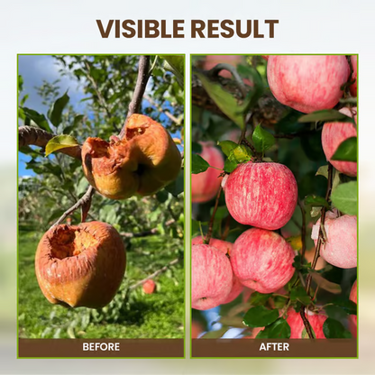 🔥Last Day 70% OFF-🌱Soil Activated Treasure-You Will Be Amazed!