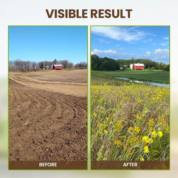 🔥Last Day 70% OFF-🌱Soil Activated Treasure-You Will Be Amazed!