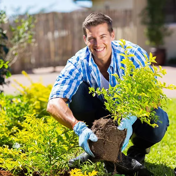 🔥Last Day 70% OFF-🌱Soil Activated Treasure-You Will Be Amazed!