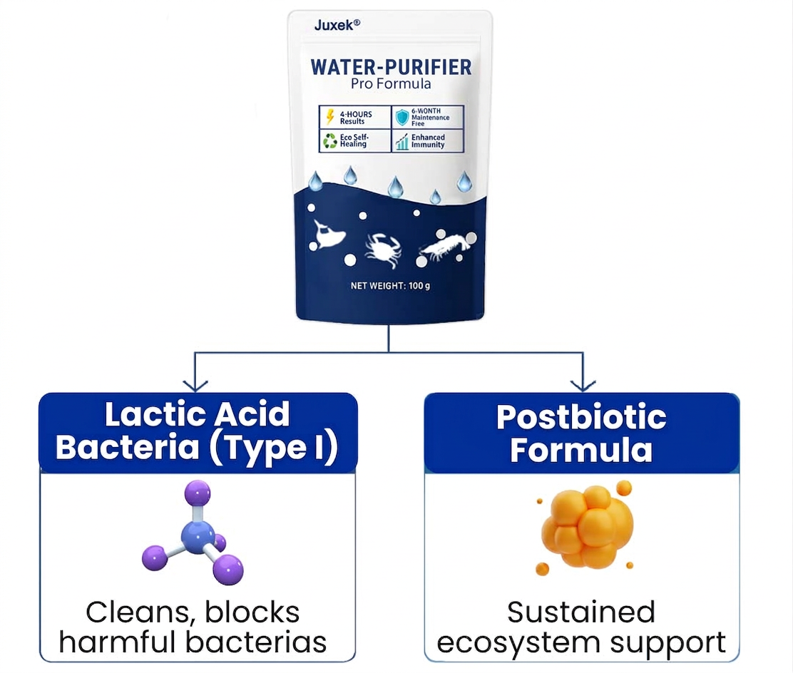 ✨ From Green to Clean Overnight! |⏱️ Crystal Clear in 24 Hours! | Juxek® Water-Purifier Pro Formula