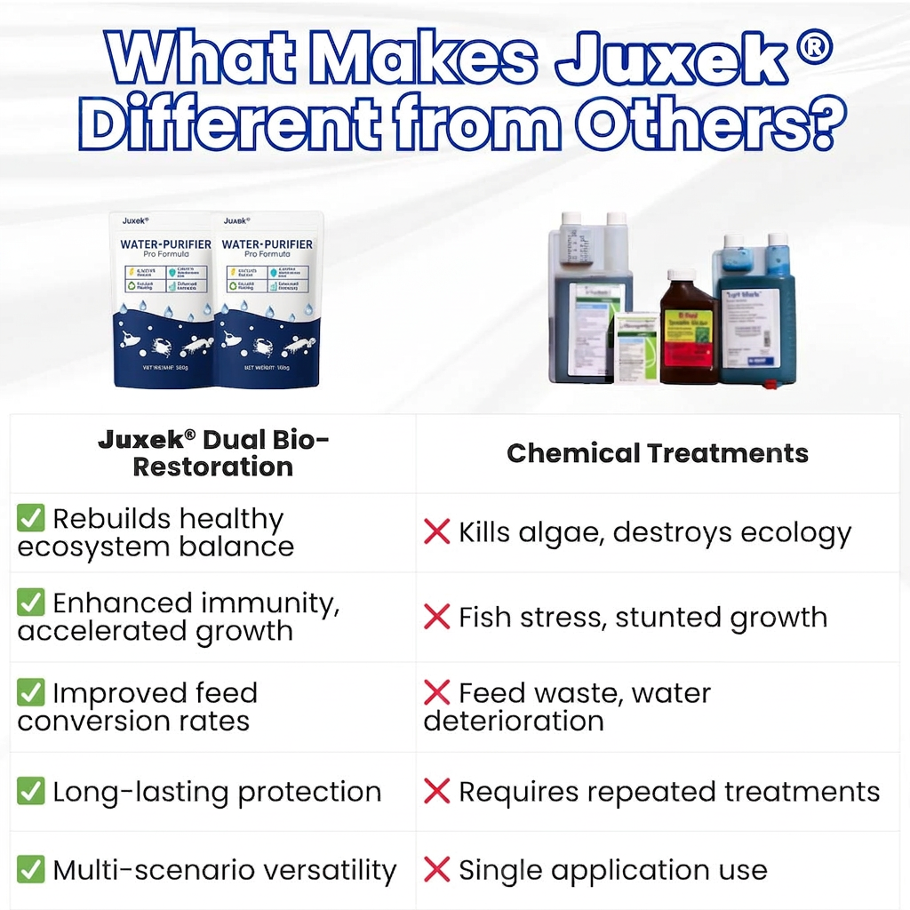 ✨ From Green to Clean Overnight! |⏱️ Crystal Clear in 24 Hours! | Juxek® Water-Purifier Pro Formula