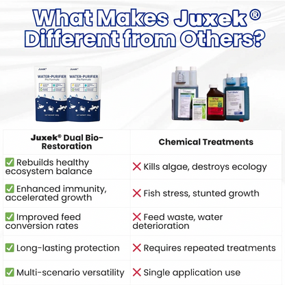 ✨ From Green to Clean Overnight! |⏱️ Crystal Clear in 24 Hours! | Juxek® Water-Purifier Pro Formula