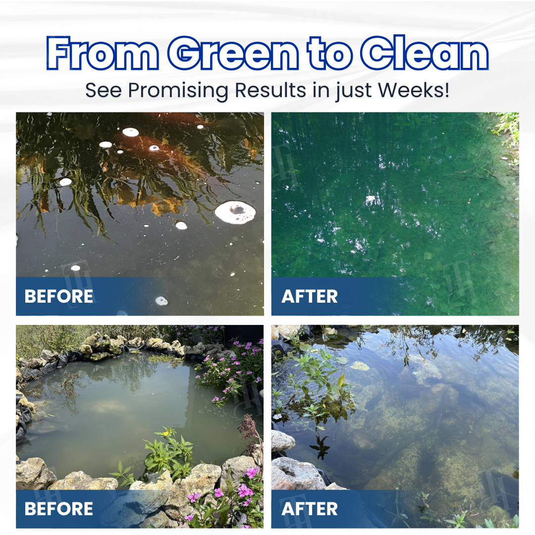 ✨ From Green to Clean Overnight! |⏱️ Crystal Clear in 24 Hours! | Juxek® Water-Purifier Pro Formula