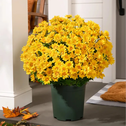 🌹Last Day Each🌹 - Artificial Outdoor Sunset Mums Flowers -  Waterproof, Windproof