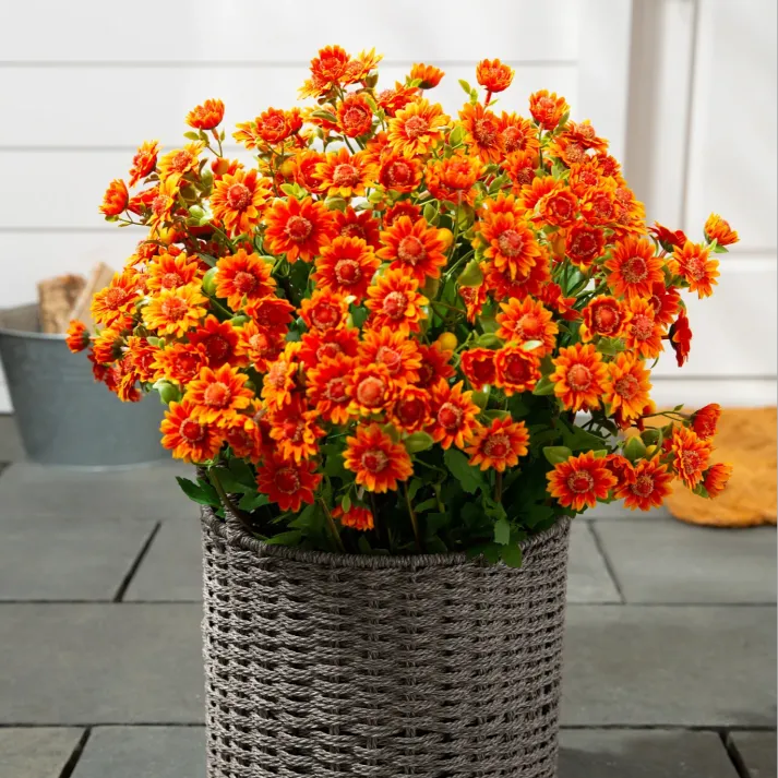 🌹Last Day Each🌹 - Artificial Outdoor Sunset Mums Flowers -  Waterproof, Windproof